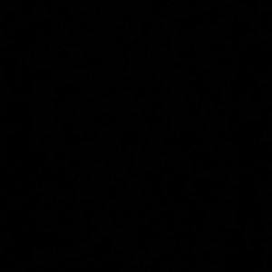 Meet your Posher, Kayden